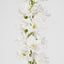 Bella Single Head Delphinium White - Pack of 12