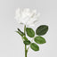Winston Rose Real Touch White
45cm