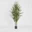 Eucalyptus Mini Leaf Tree 180cm Green - Pack of 2