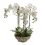 Artificial Orchid in Pot White - House of Isabella AU