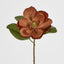 Magnolia Stem 74cm Brown.