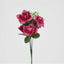 Rose Bush Asstd Box of 60