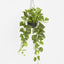 Potted Hanging Real Touch Scindapsus Bush 83cm
