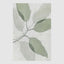 Eucalyptus Calm A Wall Art 82.5 x 122.5cm.