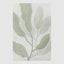 Eucalyptus Calm B Wall Art 82.5 x 122.5cm.