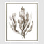 Coastal Botanical B Wall Art 52.5 x 62.5cm.