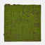 Moss Mat 100x100cm