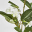 Stephanotis Floral Stem White