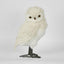 Pott's Owl LGE