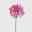 Allium Flower Stem 74cm Fuchsia