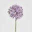 Allium Flower Stem 74cm Lavender