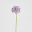 Allium Flower Stem 74cm Lavender