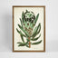 Protea Study B Wall Art 50x70cm