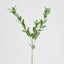 Ruscus Leaf Spray 101cm Green