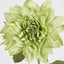 Dahlia 62cm Green