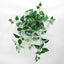 UV Flame Retardant Hanging Pothos Bush (Set of 6)