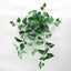 UV Flame Retardant Hanging Pothos Bush