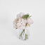 Peony Arrangement in Vase 23cm Pink (Set of 6)