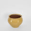Petal Round Pot Mustard