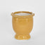 Petal Pot Mustard Small