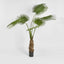 Fan Palm Tree 200cm Green