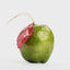 Handpainted Capiz Apple Decoration Green
