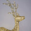Wrapt Light Up Golden Reindeer Small