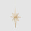 Polaris Golden Star Decoration