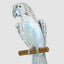 Zilva Sequin Parrot