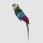 Huffer Parrot Green Crest