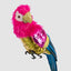 Huffer Parrot Red Crest