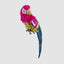 Huffer Parrot Red Crest
