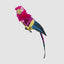 Huffer Parrot Red Crest
