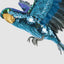 Amorina Sequin Flying Parrot Large