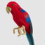 Mini Crimson Rosella Hanging Bird