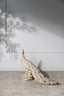 Arbour Peacock Sculpture