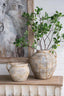 Wirey Rustic Planter Small