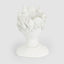 Bella Donna Planter