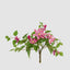 UV Trailing Clematis Bush Fuchsia (Set of 6)