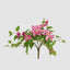 UV Trailing Clematis Bush Fuchsia (Set of 6)
