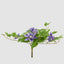 UV Trailing Clematis Bush Purple (Set of 6)