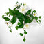 UV Trailing Clematis Bush White (Set of 6)