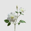 Clematis Flower White 72cm