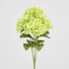 Fresh Touch Hydrangea Bunch Green