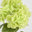 Fresh Touch Hydrangea Bunch Green
