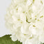 Claire Hydrangea Stem White