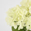 Fresh Touch Hydrangea Bunch White