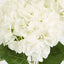 Yasmin Hydrangea Bunch White