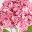 Real Touch Hydrangea 5 Head Bunch Pink