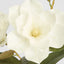 Gloriosa Magnolia Floral Spray White